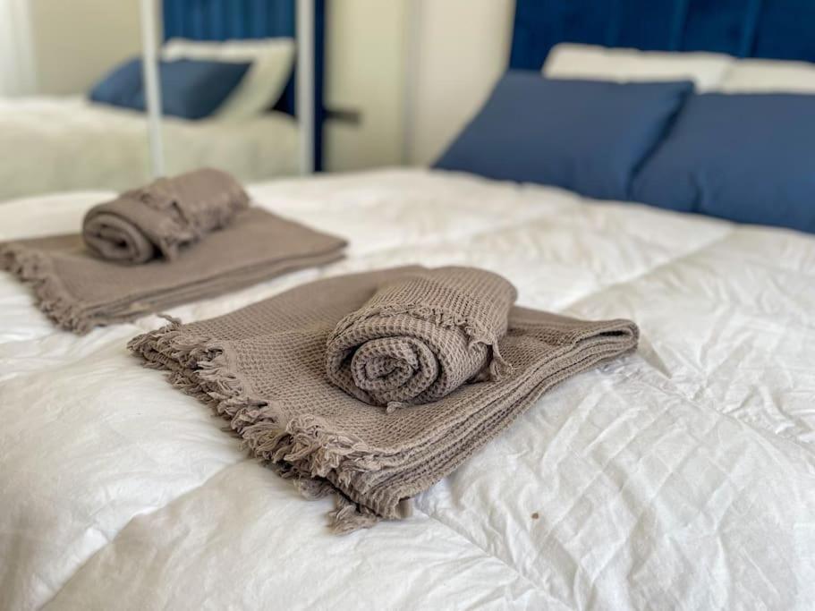 Le Lagon Bleu - Appt Wifi Parking Balcon Le Puy-en-Velay Eksteriør bilde