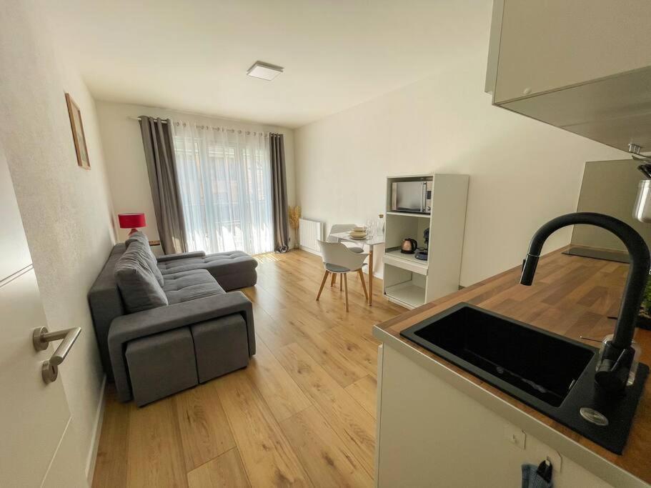 Le Lagon Bleu - Appt Wifi Parking Balcon Le Puy-en-Velay Eksteriør bilde
