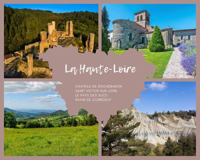Le Lagon Bleu - Appt Wifi Parking Balcon Le Puy-en-Velay Eksteriør bilde