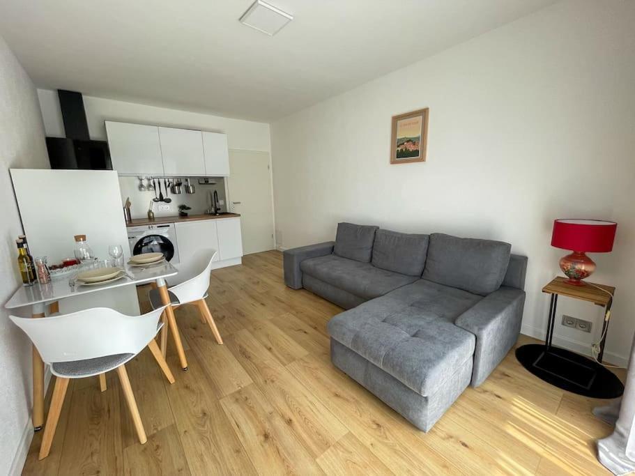 Le Lagon Bleu - Appt Wifi Parking Balcon Le Puy-en-Velay Eksteriør bilde
