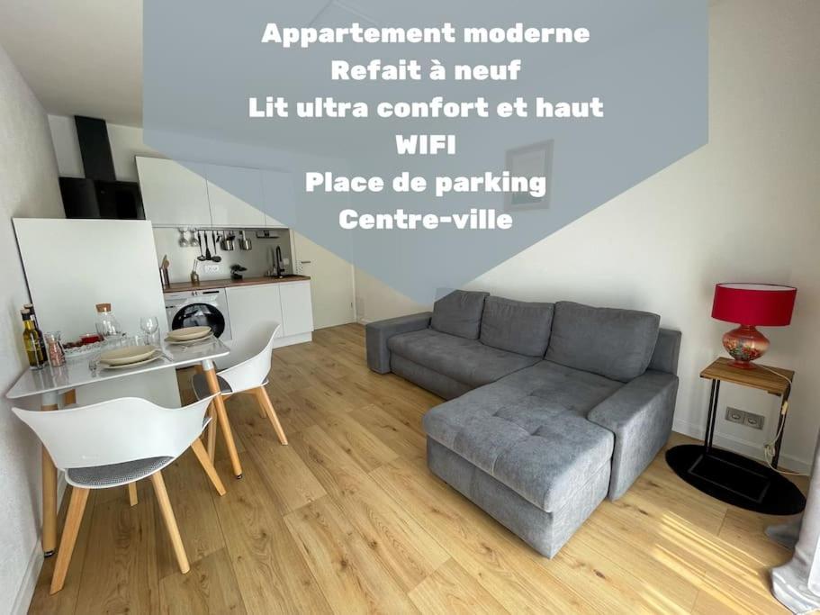 Le Lagon Bleu - Appt Wifi Parking Balcon Le Puy-en-Velay Eksteriør bilde